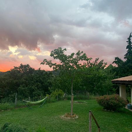 Agriturismo Il Covo Del Solengo Valtopina المظهر الخارجي الصورة