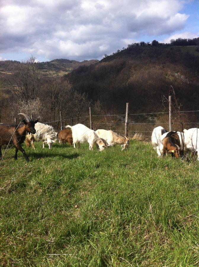 Agriturismo Il Covo Del Solengo Valtopina المظهر الخارجي الصورة