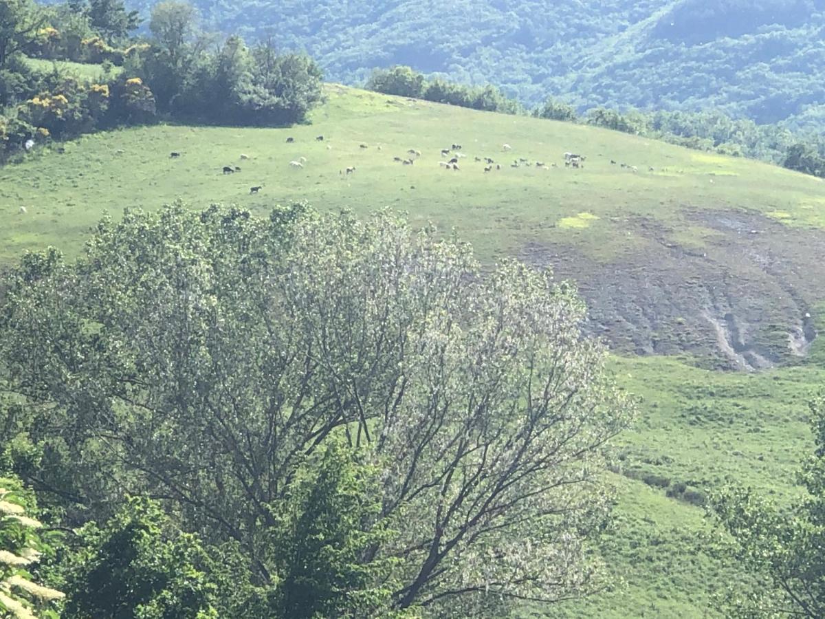 Agriturismo Il Covo Del Solengo Valtopina المظهر الخارجي الصورة