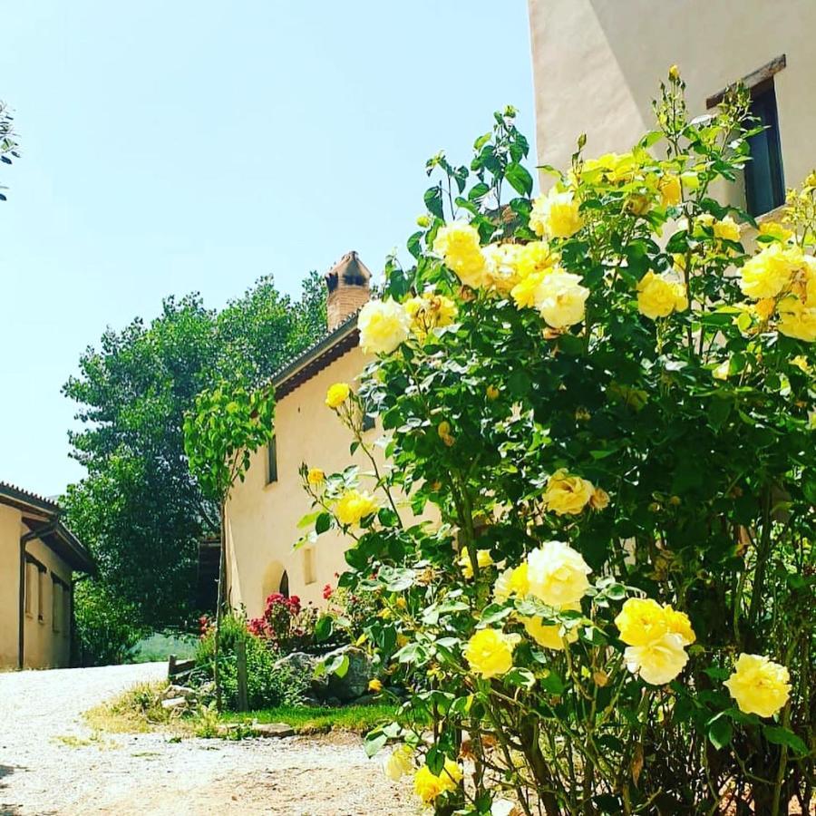 Agriturismo Il Covo Del Solengo Valtopina المظهر الخارجي الصورة