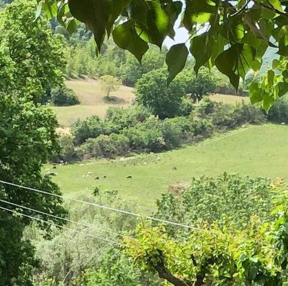 Agriturismo Il Covo Del Solengo Valtopina المظهر الخارجي الصورة