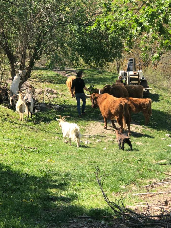 Agriturismo Il Covo Del Solengo Valtopina المظهر الخارجي الصورة