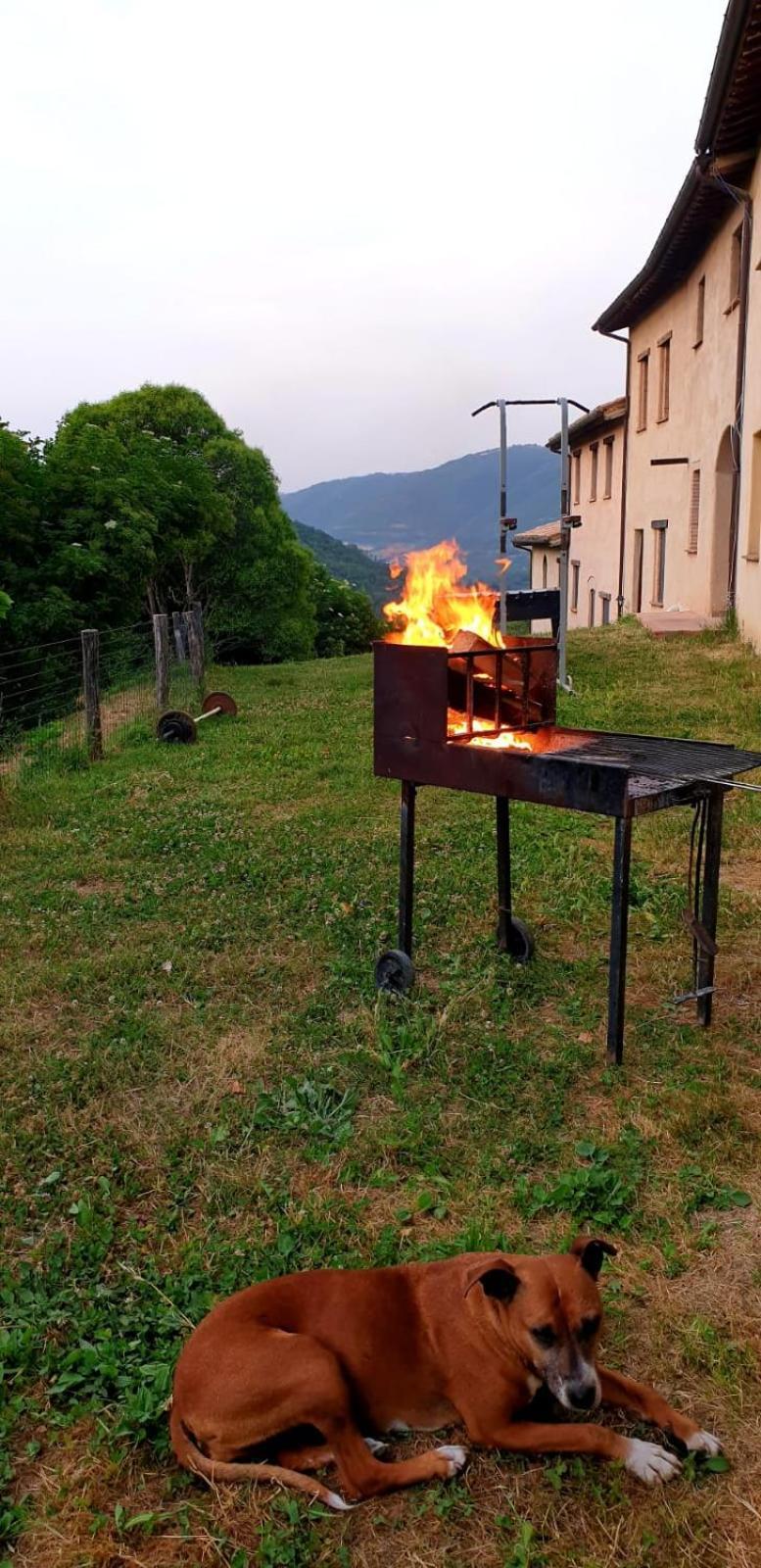 Agriturismo Il Covo Del Solengo Valtopina المظهر الخارجي الصورة